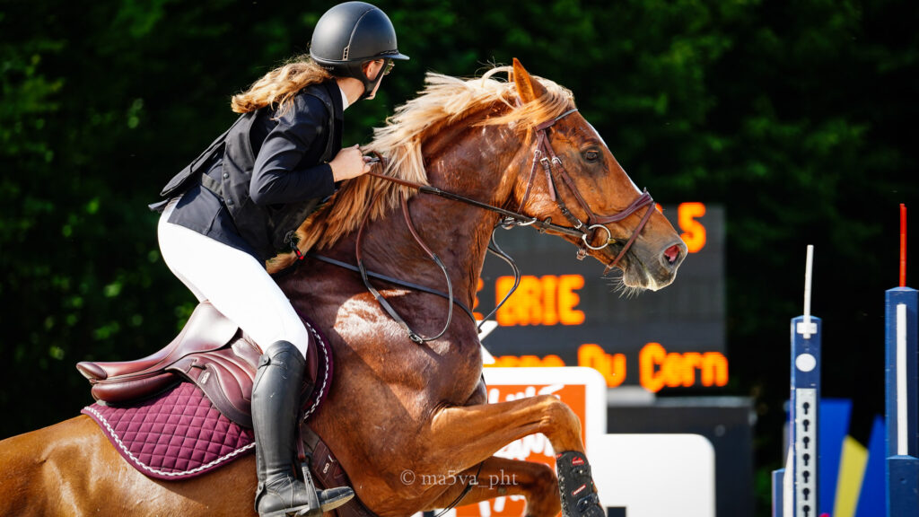 Photographie d'un cheval qui saute