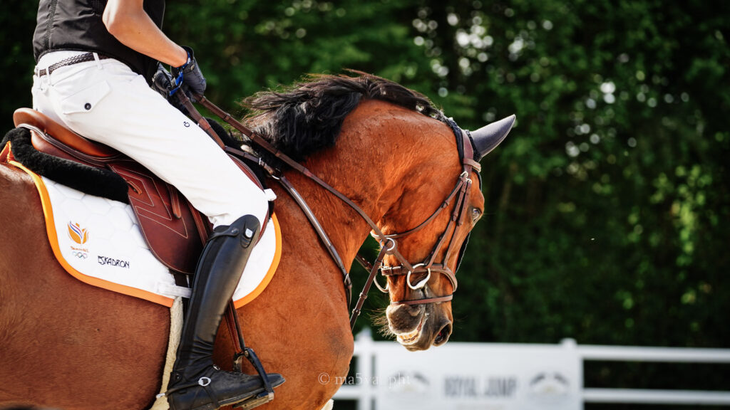 Photo lors du CSI de Bertichères